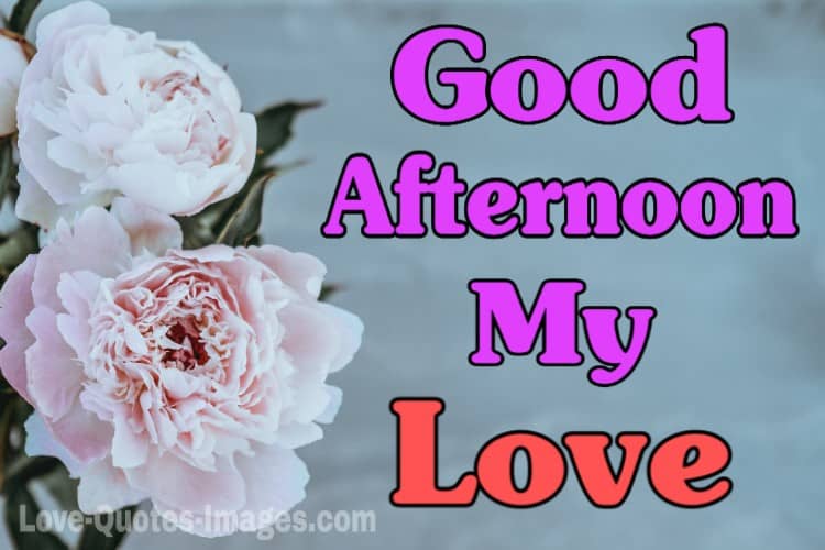 Good Afternoon Images