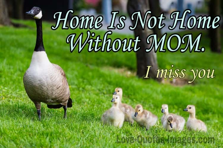 Miss You Family Image For Status
