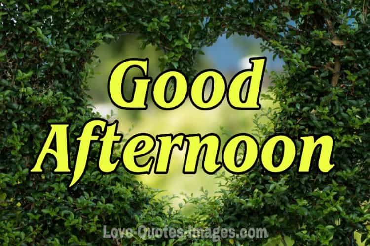 Good Afternoon Images
