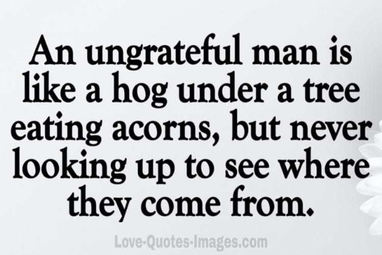 ungrateful quotes