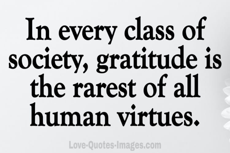 ungrateful quotes