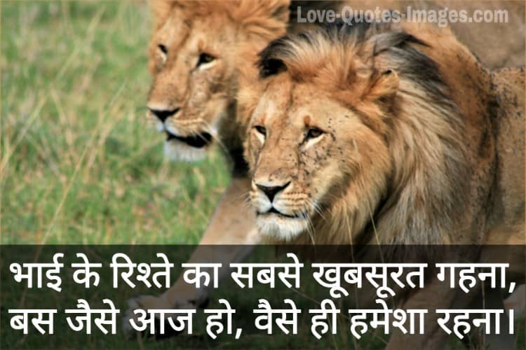 Bhai ke liye status