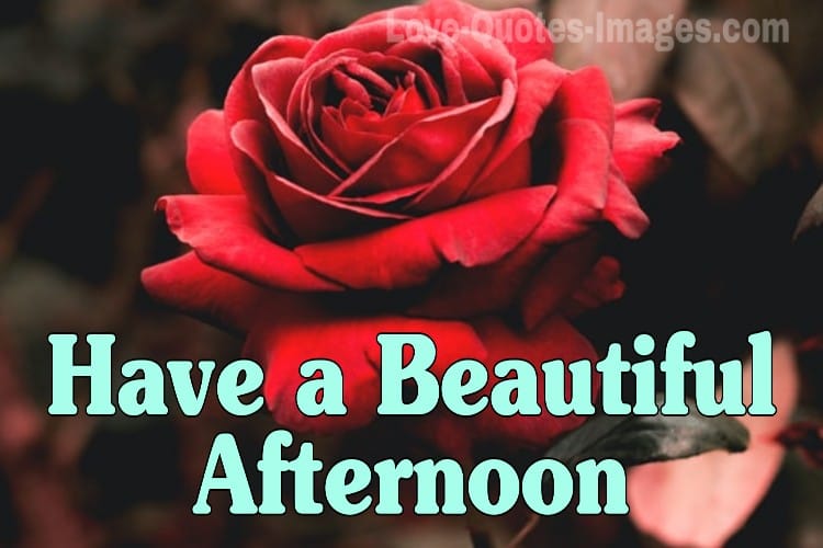 Good Afternoon Images