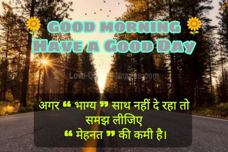 Good morning Photos