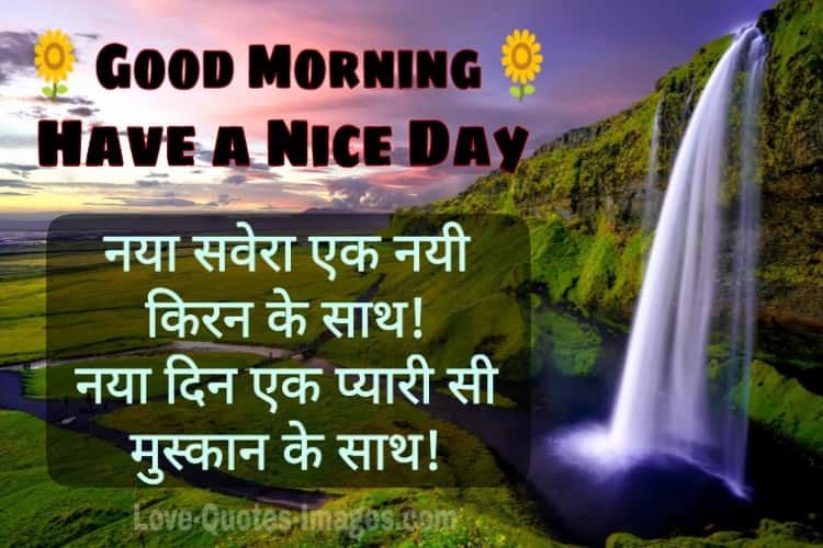 Good morning Photos