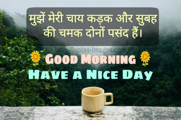 Good morning Photos