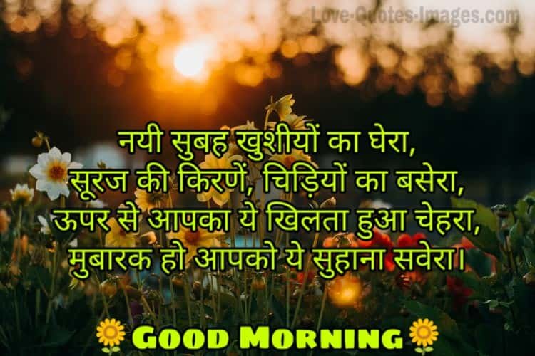Good morning Photos