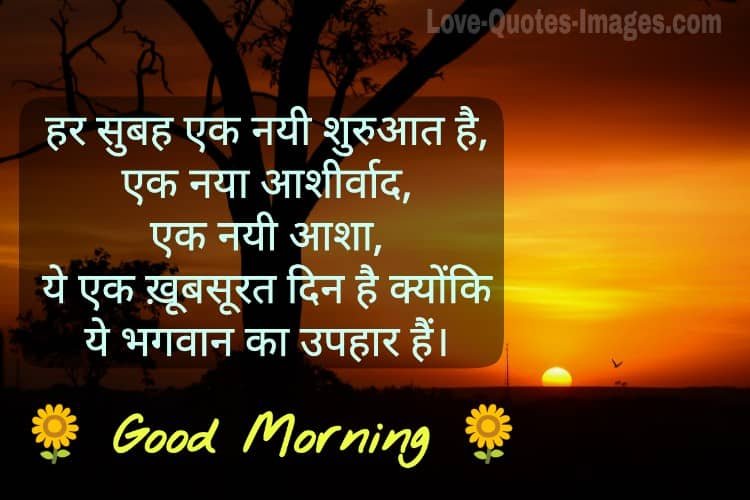 Good morning Photos