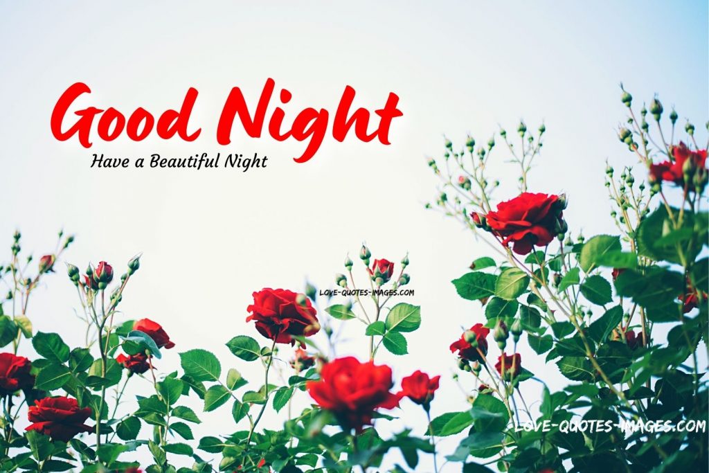 good night photo with love