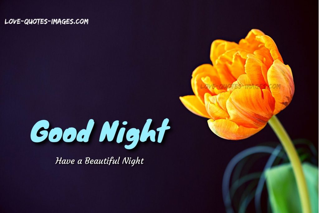 good night images