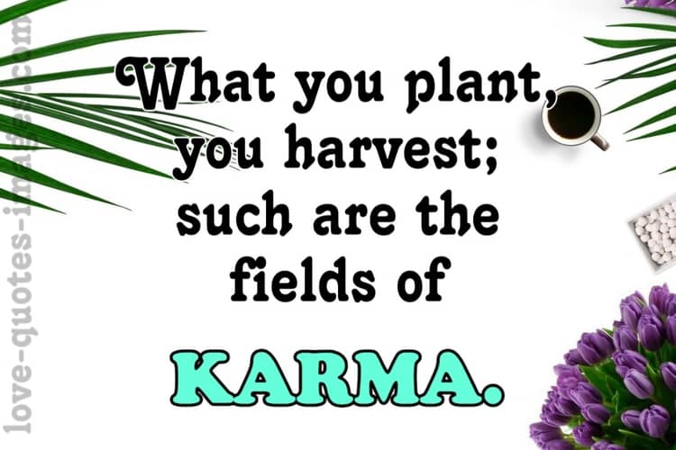 believer of karma