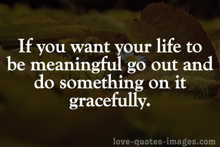 Motivational Shayari in English