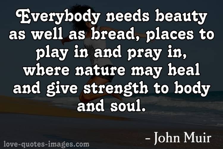 Quotes for Health Is Wealth
