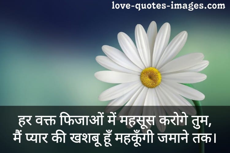 love shayari image download