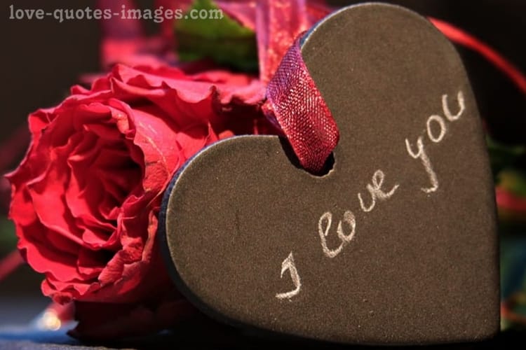 i love you images with roses