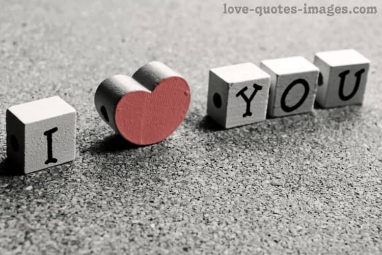 i love you images with roses