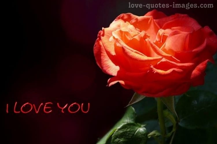 i love you images for him