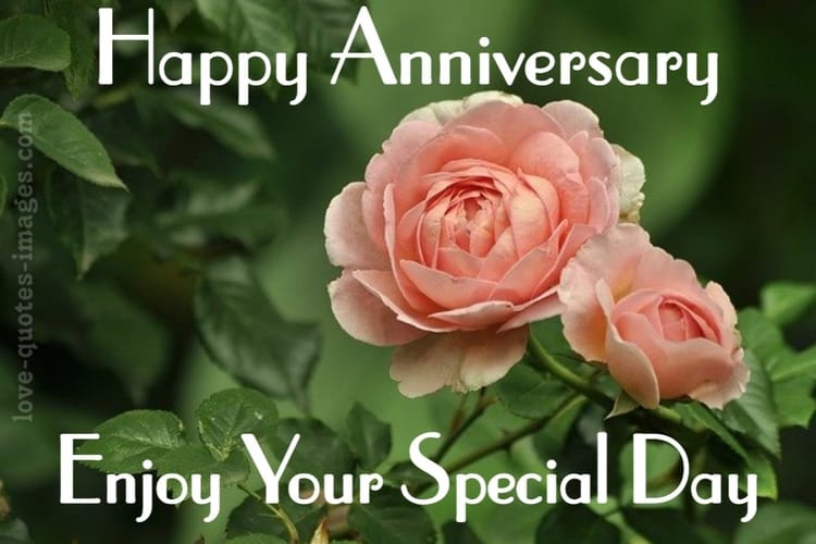 wedding anniversary images download