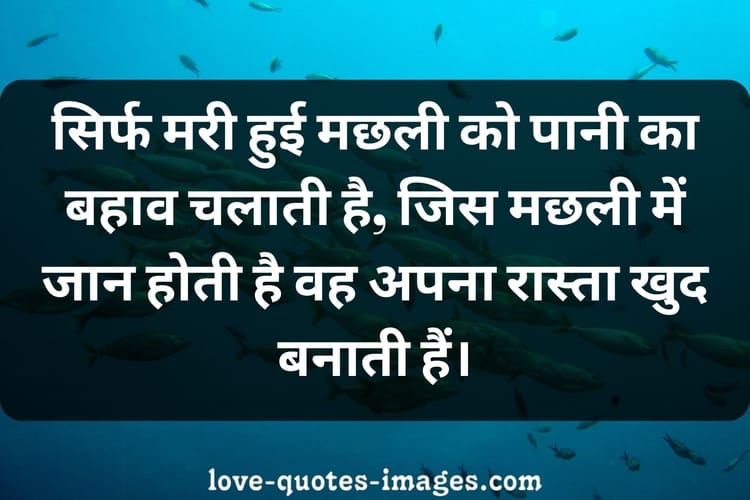 motivational quotes in hindi on success