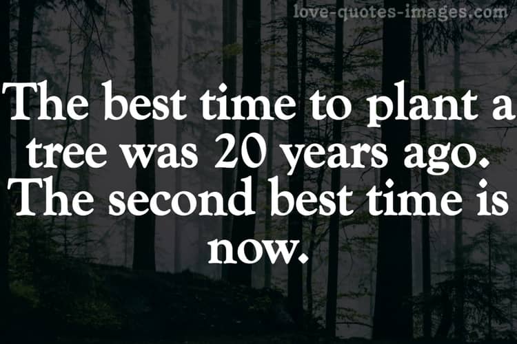 motivational quotes on