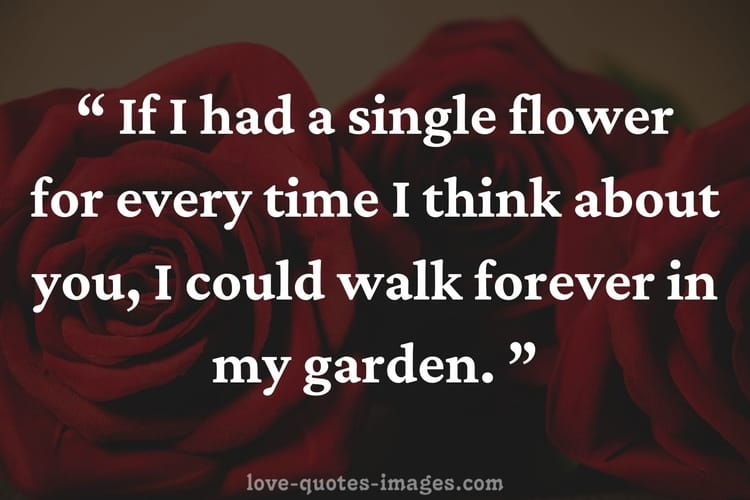 a crush quotes