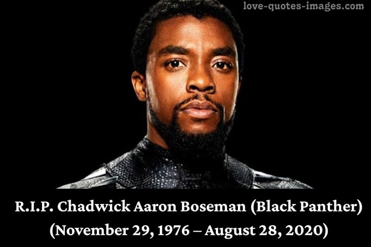 R.I.P. Chadwick Aaron Boseman (Black Panther)