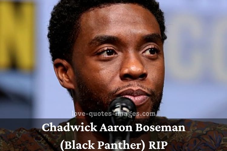 R.I.P. Chadwick Aaron Boseman (Black Panther)