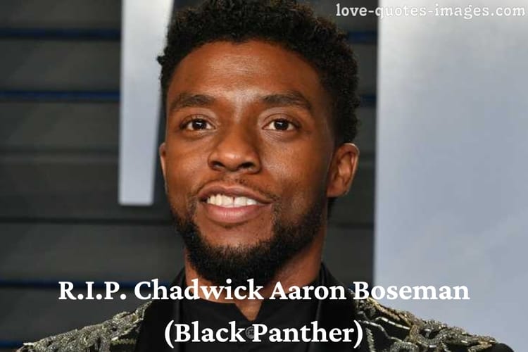 R.I.P. Chadwick Aaron Boseman (Black Panther)