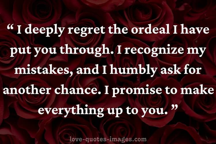 i m sorry quotes