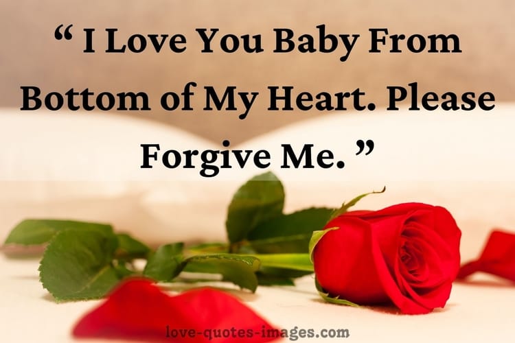 i m sorry quotes