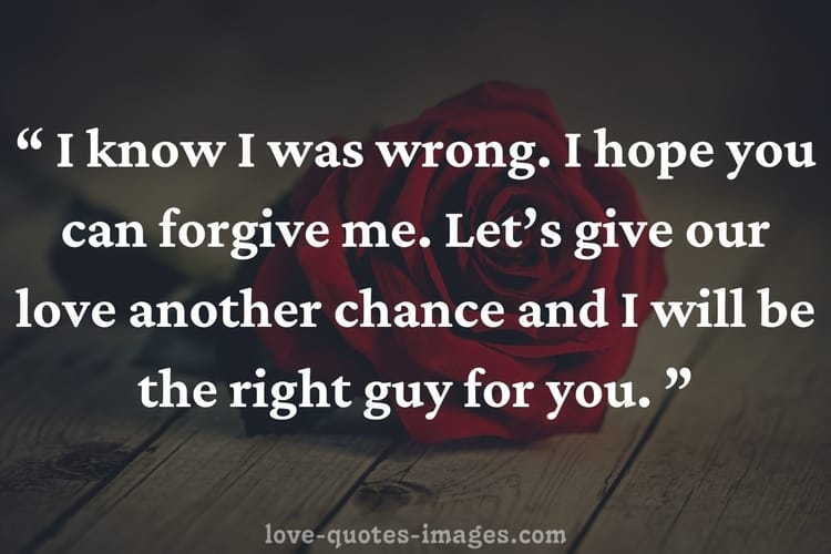 i m sorry quotes