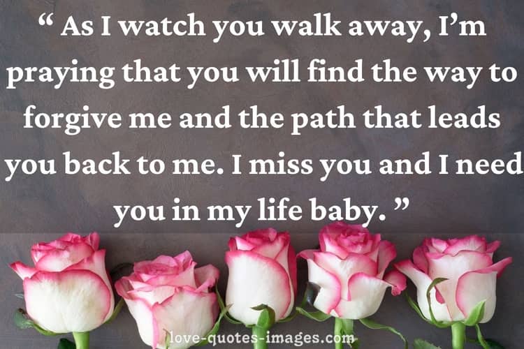 im sorry quotes