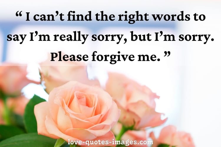 im sorry quotes