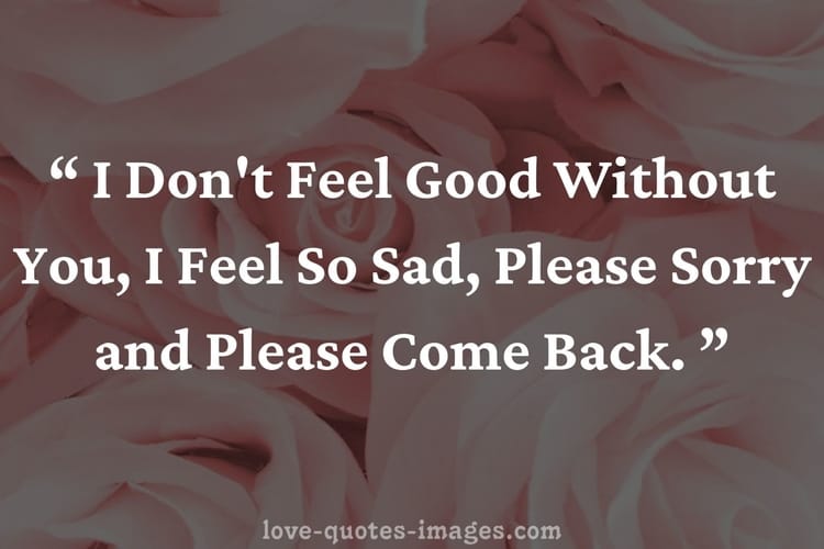 im sorry quotes