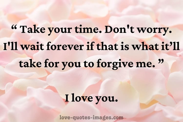 im sorry quotes