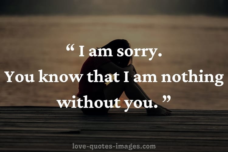 Best I M Sorry Quotes Images Love Quotes Images