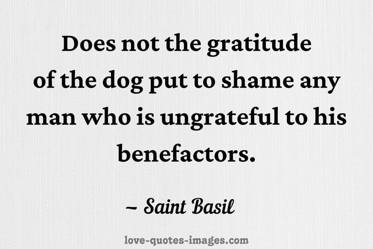 ungrateful people quotes