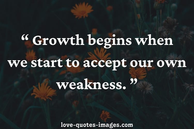 positive quotes about life