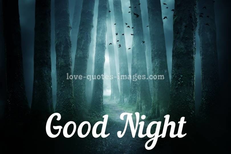 good night images with love