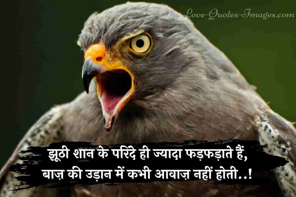 attitude status in hindi