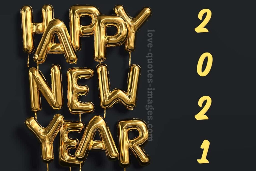 funny happy new year images