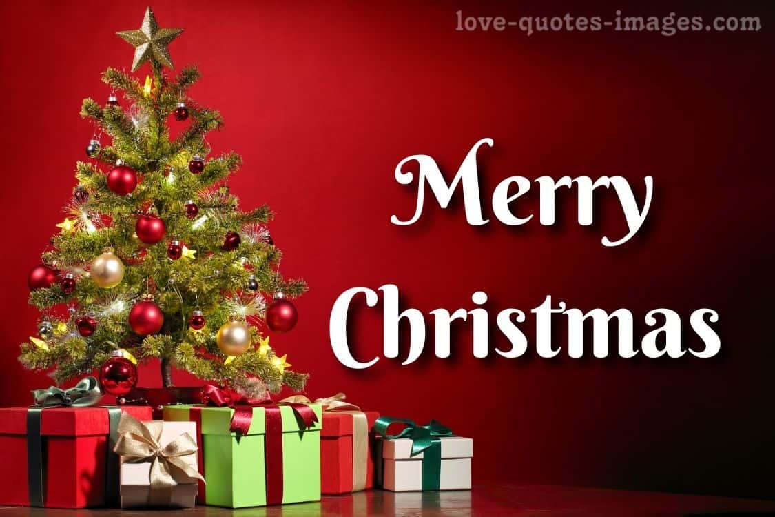 100+ Best Merry Christmas Images Download 2024 » Love Quotes Images