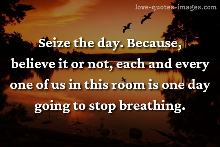 robin williams quotes alone