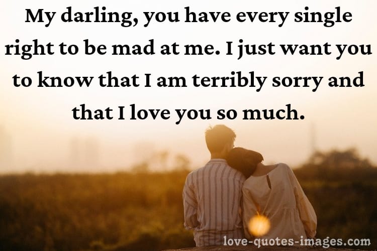 i m sorry quotes