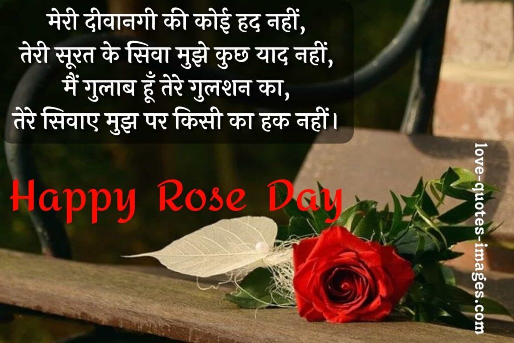rose day shayari in hindi