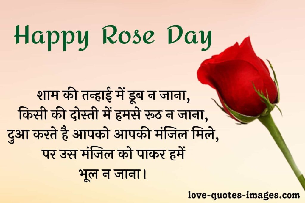 rose day quotes in hindi