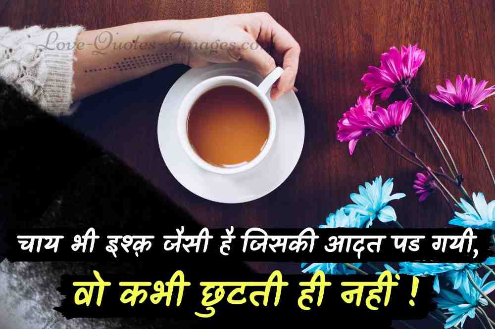 chai shayari funny