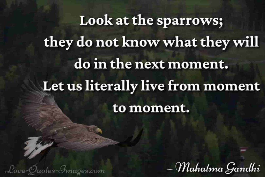 inspirational quotes about life