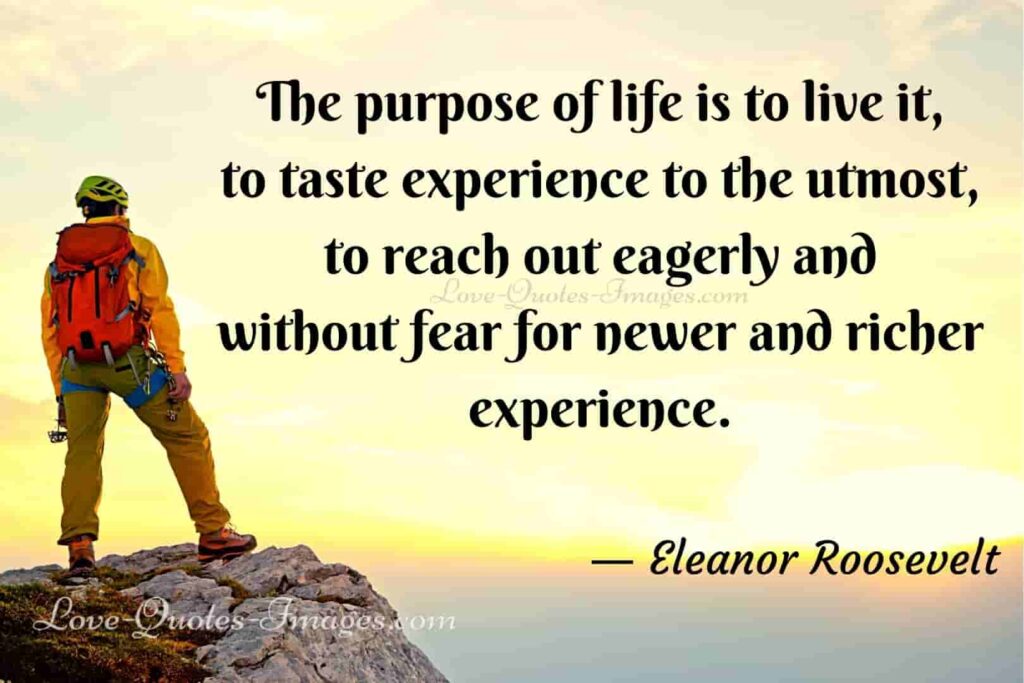 lifes purpose quotes