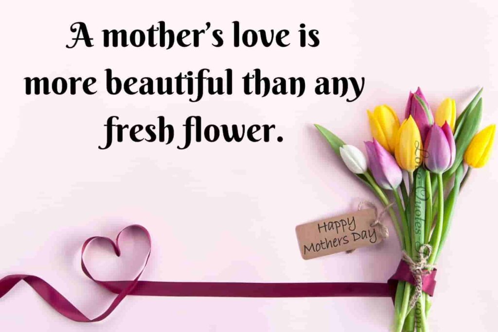 The Best Mother's Day Quotes for Whatsapp » Love Quotes Images
